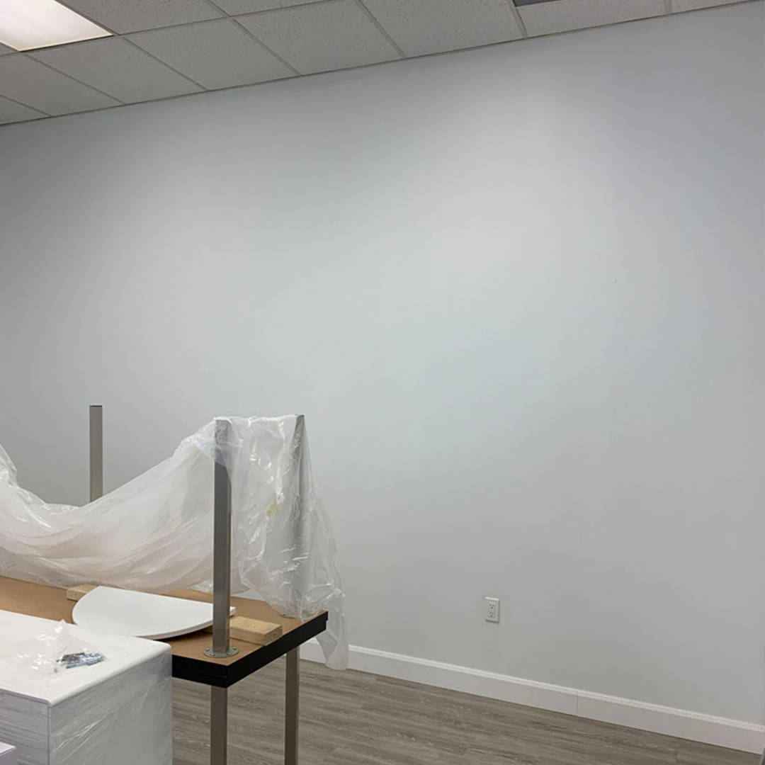 painting services mississauga